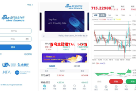 【亲测源码】新浪财经微盘源码 K线全修复微盘源码 带余额宝 会员等级财经系统-百晓生网络,百晓生搭建,百晓生科技网,网站源码,小程序源码,APP源码,游戏源码,asp源码,php源码,菠菜源码,时时彩源码,棋牌源码,商城源码,PHP源码,wordpress主题,源码搭建,区块链源码